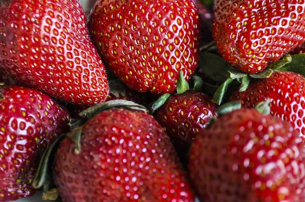 Taze çilek bir tabak içinde düzenlenmiştir. Seçici odak.
