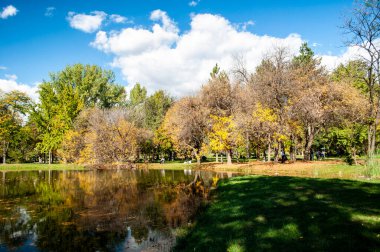 Renkli ağaçlar, yapraklar ve küçük göletin sularında yansıması olan güzel bir sonbahar parkı. Suya düşen yapraklar.