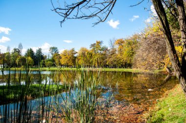 Renkli ağaçlar, yapraklar ve küçük göletin sularında yansıması olan güzel bir sonbahar parkı. Suya düşen yapraklar.