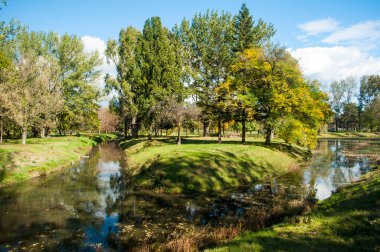 Renkli ağaçlar, yapraklar ve küçük göletin sularındaki yansımalarla güzel bir sonbahar parkı..