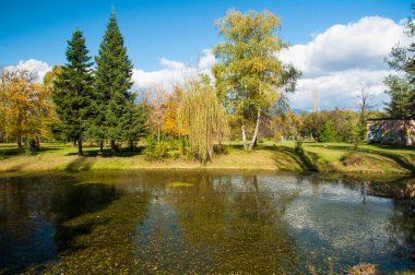 Renkli ağaçlar, yapraklar ve küçük göletin sularındaki yansımalarla güzel bir sonbahar parkı..