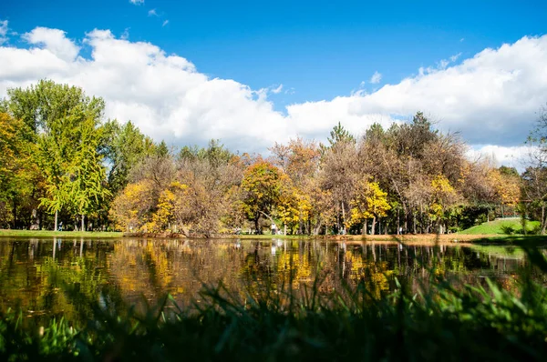 Krásný Podzimní Park Pestrobarevnými Stromy Listy Odraz Vodě Malého Rybníčku — Stock fotografie