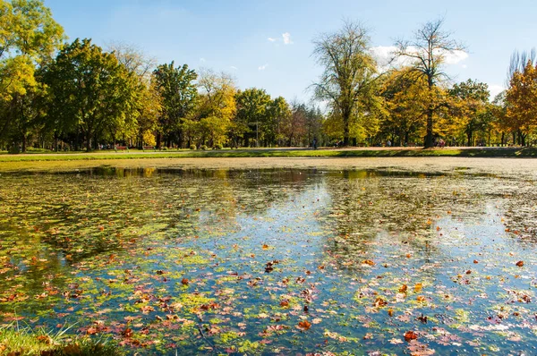Krásný Podzimní Park Pestrobarevnými Stromy Listy Odraz Vodě Malého Rybníčku — Stock fotografie
