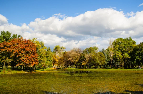 Krásný Podzimní Park Pestrobarevnými Stromy Listy Odraz Vodě Malého Rybníčku — Stock fotografie