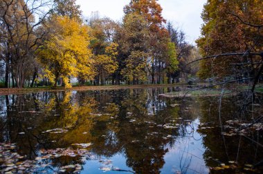 Renkli ağaçlar, yapraklar ve küçük göletin sularındaki yansımalarla güzel bir sonbahar parkı..