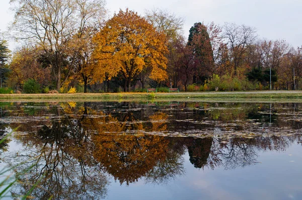 Krásný Podzimní Park Pestrobarevnými Stromy Listy Odraz Vodě Malého Rybníčku — Stock fotografie