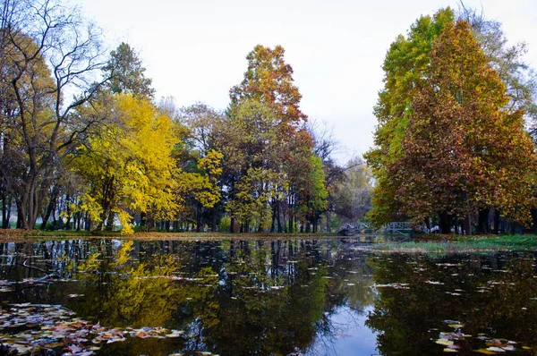 Krásný Podzimní Park Pestrobarevnými Stromy Listy Odraz Vodě Malého Rybníčku — Stock fotografie