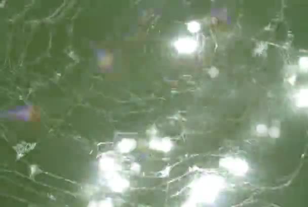 toile d'araignée à la lumière du soleil 