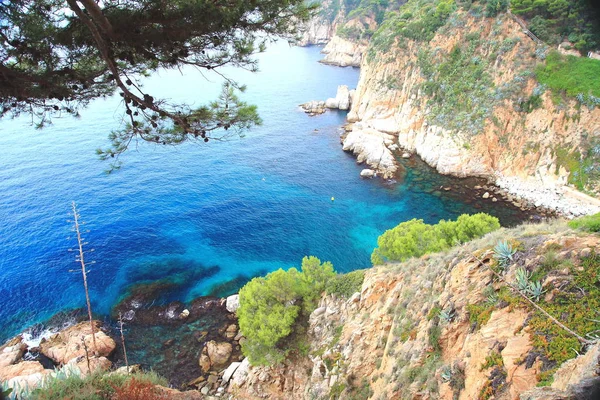 İspanya Blanes doğa Yalı