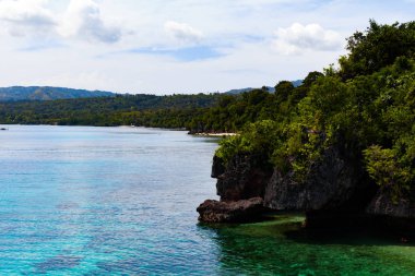 Siquijor, Filipinler - 07 Şubat 2018: Salagdoong plaj.