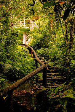 Dumagette, Negros, Filipinler - 06 Şubat 2018: ikizlerin göl yakınındaki orman.