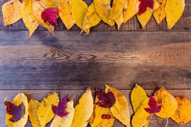 Tahta üzerinde renkli yapraklar olan sonbahar arkaplanı