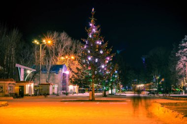 Khabarovsk, Amur Nehri setin geceleri üzerinde buz pateni pisti. Noel ağaçları pateni.