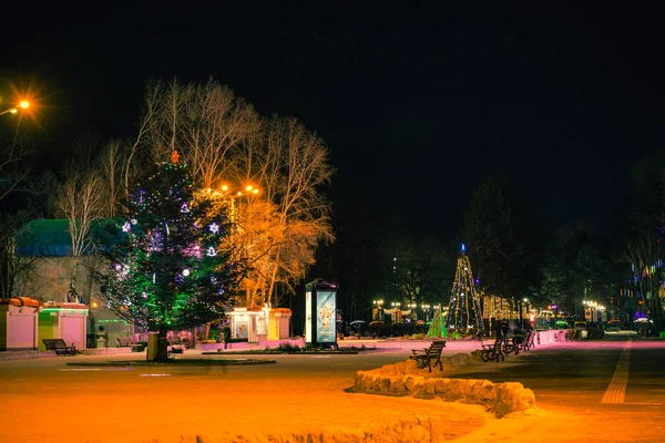 Patinoire sur le remblai de l'Amour à Khabarovsk la nuit. Arbres de Noël à la patinoire . — Photo