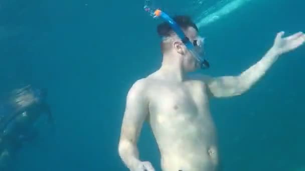 Turisták Úszni Tengerben Bálna Cápák Közelében Város Oslob Sziget Cebu — Stock videók