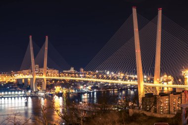 Vladivostok kentinin gece manzarası. Vladivostok, Rusya Federasyonu.