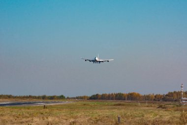 Khabarovsk, Rusya - 29 Eylül 2018: Boeing 747-400 Ei-Xlm Russian Airlines, Khabarovsk havaalanına indi.