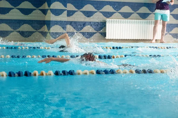 Діти плавають вільним стилем. Критий басейн з чистою блакитною водою . — стокове фото