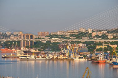 Vladivostok, Rusya - Haziran 01, 2020: Golden Swarm Körfezi 'ndeki köprünün akşam manzarası. Yazın deniz kenti plajı