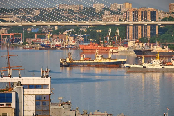 Vladivostok Russie Juil 2020 Vue Soirée Pont Dans Baie Essaim — Photo