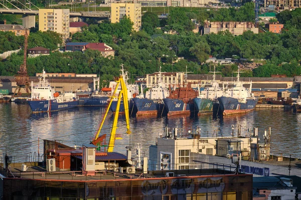 Vladivostok Russie Juil 2020 Vue Soirée Pont Dans Baie Essaim — Photo