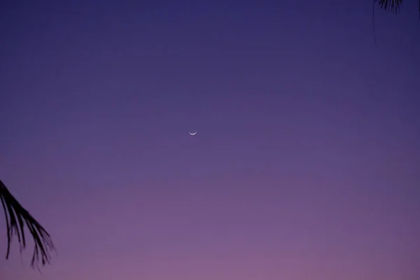 Boracay adasının yıldızlı gökyüzü, gece günbatımından hemen sonra palmiye ağaçlarının arka planına karşı.. — Stok fotoğraf
