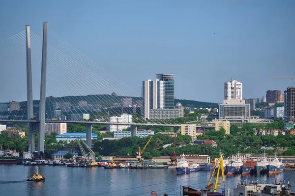 Vladivostok Rusland Jun 2020 Avondzicht Brug Gouden Zwermbaai Zee Stad — Stockfoto