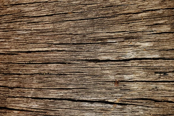 Trä Bark textur bakgrund — Stockfoto