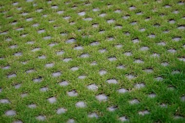  Parkta ve bahçede çimenliği olan Stone Paving Bloğu