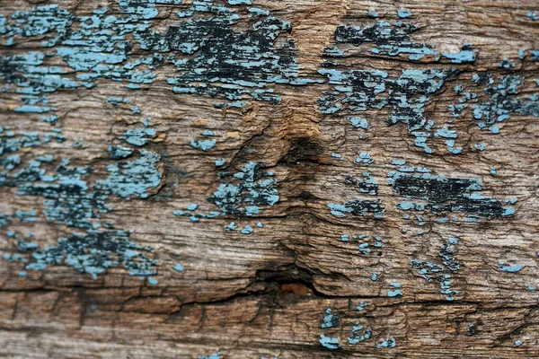 木皮质感背景 — 图库照片