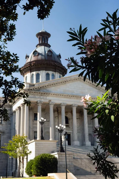 Een Verticale Compositie Van Hoofdstad Statehouse Koepel Columbia South Carolina — Stockfoto