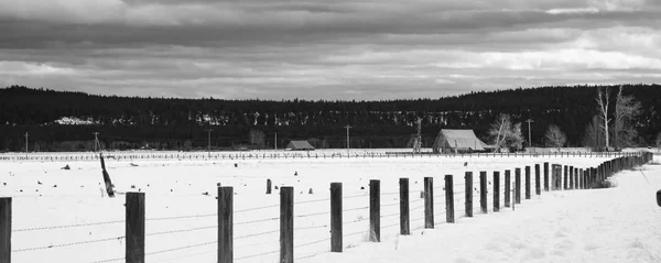 Black White Representation Farm Ranch Covered Snow Dark Skies Winter — Stock Photo, Image