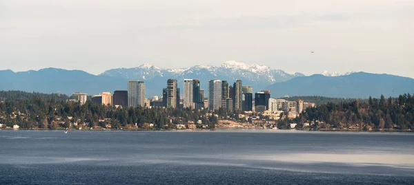 Lång Panorama Skott Den Urbana Djungeln Som Bellevue Washington — Stockfoto