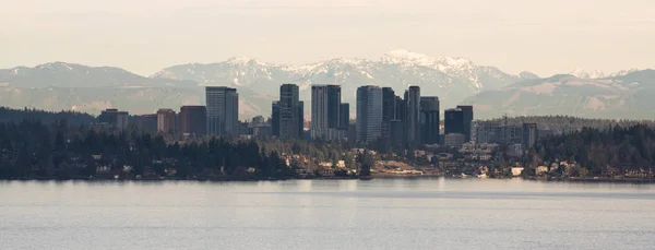 Eine Lange Panoramaaufnahme Durch Den Urbanen Dschungel Von Bellevue Washington — Stockfoto