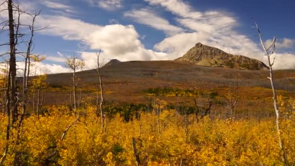 秋シーズンのピークとモンタナ州グレイシャー国立公園の東側の植物 — ストック動画