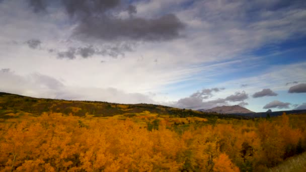 Fall Season Huiput Kasvit Itäpuolella Glacier National Park Montana — kuvapankkivideo