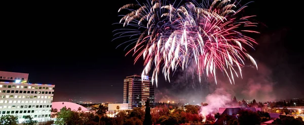 People gather to watch the fireworks in Discovery Meadow Park in San Jose California