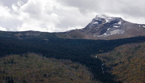 One View Shows Wildfire New Growth Snow Covered Peaks 000 — Stock Photo, Image