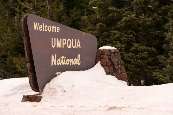 Снежные Заносы Скрывают Знак Обозначающий Вход Национальный Лес Умпкуа Орегоне — стоковое фото