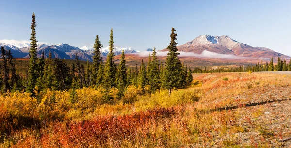 阿拉斯加最后边疆苔原与山地景观全景 免版税图库照片