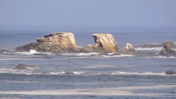 海角阿拉戈俄勒冈海岸风景格雷戈里点海滩冲浪 — 图库视频影像