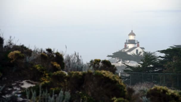 Der Älteste Funktionierende Leuchtturm Der Westküste Existiert Auf Point Pinos — Stockvideo