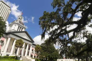 Tallahassee Florida şehir merkezinde inşa Capitol bir yenileme geçer ama yine de iyi görünüyor.