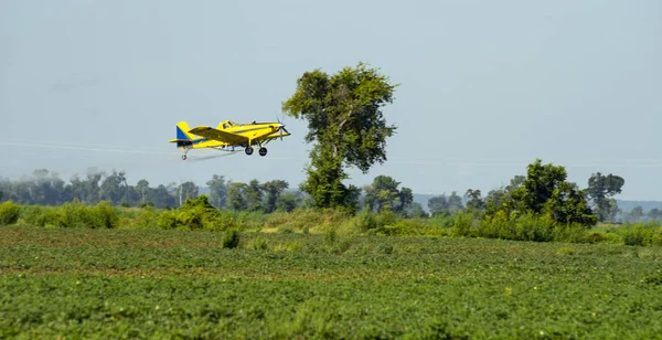 Een Klein Vliegtuig Verspreidt Chemische Stoffen Pesticiden Velden Van Boerderij — Stockfoto