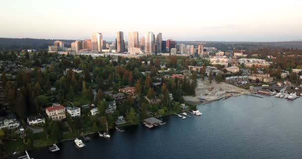 Downtown City Skyline Bellevue Lake Washington Strandlinjen — Stockvideo