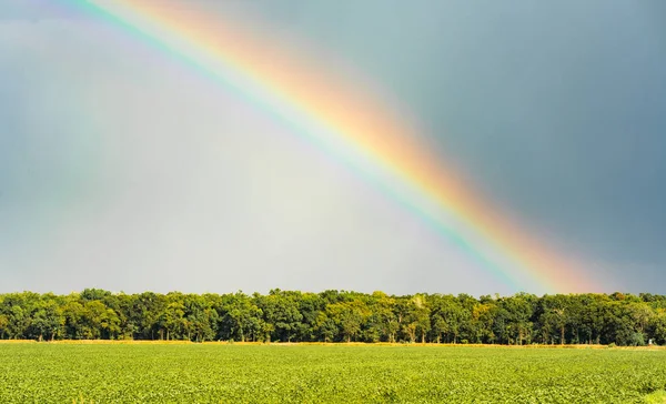 Curcubeu Intens Plin Culoare Apare Deasupra Unui Câmp Agricol Din — Fotografie, imagine de stoc