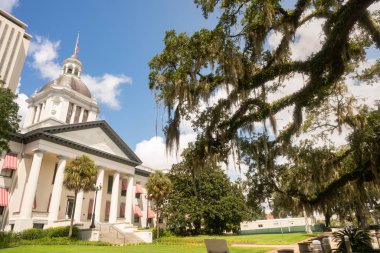 Tallahassee, Florida üzerinde devlet Capitol üzerinde beyaz bulutlar arkasında mavi gökyüzü