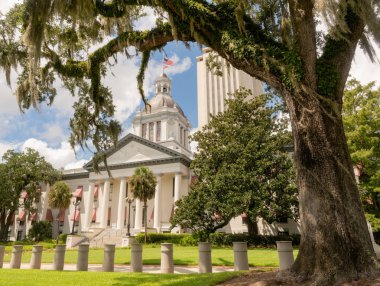 Tallahassee, Florida üzerinde devlet Capitol üzerinde beyaz bulutlar arkasında mavi gökyüzü