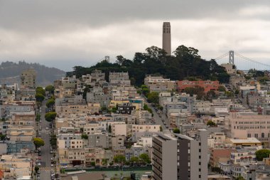 Telegraph Hill öncü Park nerede Coit Tower Körfezi'nin çarpıcı manzarasının 360 sağlar ve San Francisco olduğunu 