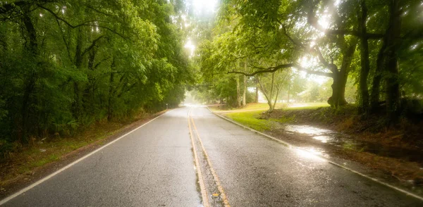 Pavimento Está Húmedo Mientras Llueve Camino Través Agricultura Del Sur — Foto de Stock